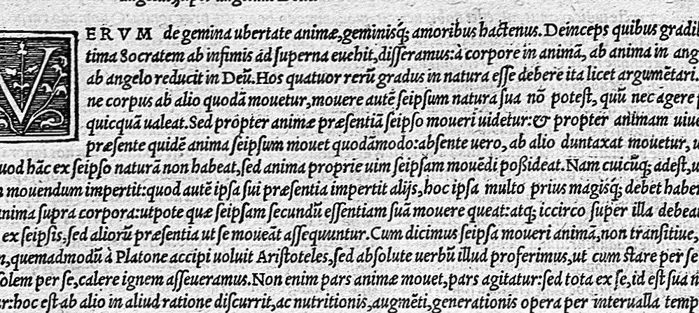 An illustration from Platonis opera qvae ad nos extant omnia per Ianvm Cornarivm Latina lingua conscripta Eiusdem Iani Cornarii eclogæ decem, breuiter et sententiarum et genuinæ verborum lectionis, locos selectos complectentes ; Additis Marsilii Ficini argumentis et commentariis in singulos dialogos cum indice rerum memorabilium elaboratissimo, 1561, leaf 293