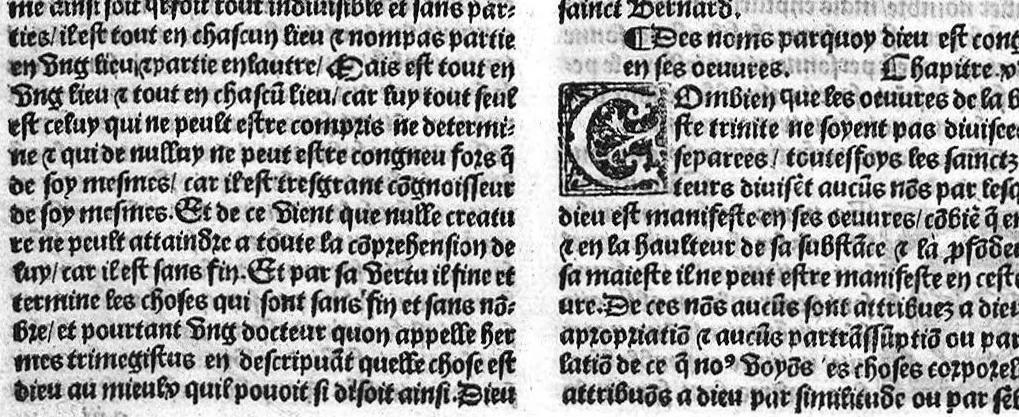 An illustration from Le proprietaire des choses tresutille et proffitable aux corps humain, avec aucunes additions nouvellement adjoustees cest assavoir : les vertus et proprietez des eaues artificielles et des herbes. Les nativitez des hommes et des femmes selon les douze signes. Et plusieurs receptes contre aulcunes maladies. Item ung remede tresutille contre fievre pestilentieuse et aultre maniere d’epydimie, approuvee par plusieurs docteurs en medecine, 1528, leaf 24