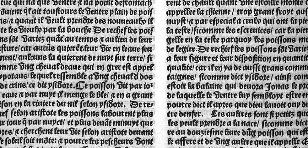 An illustration from Le proprietaire des choses tresutille et proffitable aux corps humain, avec aucunes additions nouvellement adjoustees cest assavoir : les vertus et proprietez des eaues artificielles et des herbes. Les nativitez des hommes et des femmes selon les douze signes. Et plusieurs receptes contre aulcunes maladies. Item ung remede tresutille contre fievre pestilentieuse et aultre maniere d’epydimie, approuvee par plusieurs docteurs en medecine, 1528, leaf 296