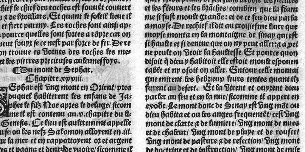 An illustration from Le proprietaire des choses tresutille et proffitable aux corps humain, avec aucunes additions nouvellement adjoustees cest assavoir : les vertus et proprietez des eaues artificielles et des herbes. Les nativitez des hommes et des femmes selon les douze signes. Et plusieurs receptes contre aulcunes maladies. Item ung remede tresutille contre fievre pestilentieuse et aultre maniere d’epydimie, approuvee par plusieurs docteurs en medecine, 1528, leaf 309