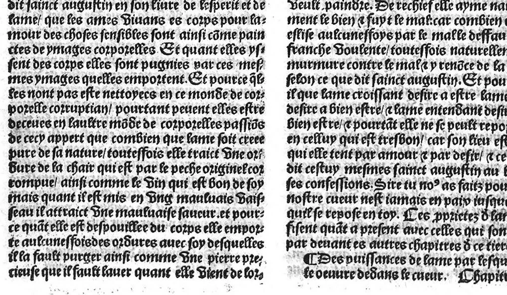 An illustration from Le proprietaire des choses tresutille et proffitable aux corps humain, avec aucunes additions nouvellement adjoustees cest assavoir : les vertus et proprietez des eaues artificielles et des herbes. Les nativitez des hommes et des femmes selon les douze signes. Et plusieurs receptes contre aulcunes maladies. Item ung remede tresutille contre fievre pestilentieuse et aultre maniere d’epydimie, approuvee par plusieurs docteurs en medecine, 1528, leaf 50