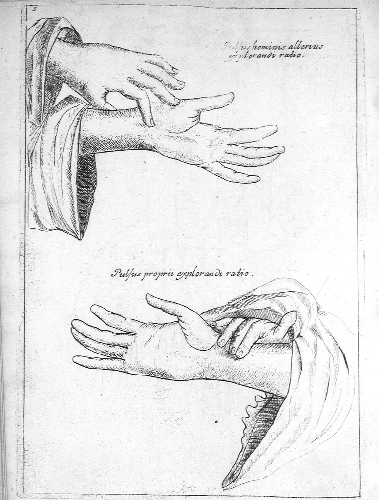 An illustration from Specimen medicinae sinicae sive, Opuscula medica ad mentem sinensium, continens I. De pulsibus libros quatuor è sinico translatos. II. Tractatus de pulsibus ab erudito europaeo collectos. III. Fragmentum operis medici ibidem ab erudito europaeo conscripti. IV. Excerpta literis eruditi europaei in China. V. Schemata ad meliorem praecedentium intelligentiam. VI. De indiciis morborum ex linguae coloribus & affectionibus cum figuris aeneis & ligneis. Edidit Andreas Cleyer, 1682, leaf 217