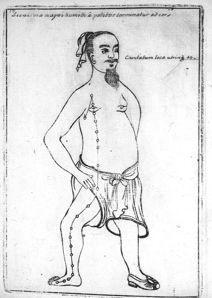An illustration from Specimen medicinae sinicae sive, Opuscula medica ad mentem sinensium, continens I. De pulsibus libros quatuor è sinico translatos. II. Tractatus de pulsibus ab erudito europaeo collectos. III. Fragmentum operis medici ibidem ab erudito europaeo conscripti. IV. Excerpta literis eruditi europaei in China. V. Schemata ad meliorem praecedentium intelligentiam. VI. De indiciis morborum ex linguae coloribus & affectionibus cum figuris aeneis & ligneis. Edidit Andreas Cleyer, 1682, leaf 225