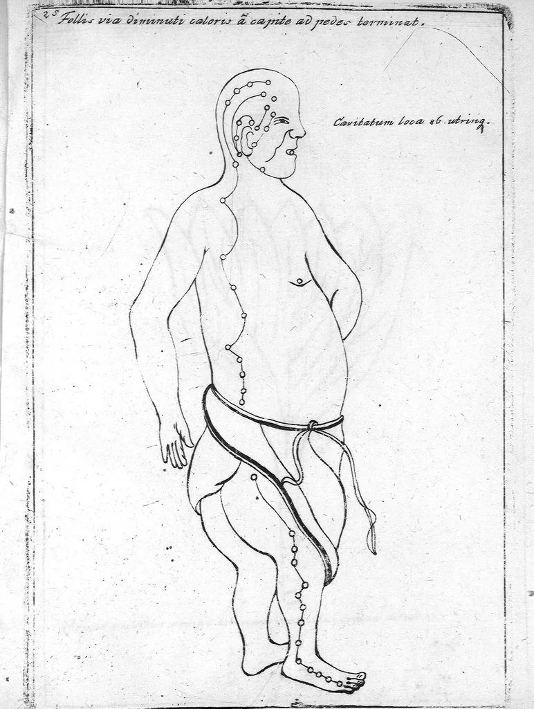 An illustration from Specimen medicinae sinicae sive, Opuscula medica ad mentem sinensium, continens I. De pulsibus libros quatuor è sinico translatos. II. Tractatus de pulsibus ab erudito europaeo collectos. III. Fragmentum operis medici ibidem ab erudito europaeo conscripti. IV. Excerpta literis eruditi europaei in China. V. Schemata ad meliorem praecedentium intelligentiam. VI. De indiciis morborum ex linguae coloribus & affectionibus cum figuris aeneis & ligneis. Edidit Andreas Cleyer, 1682, leaf 237