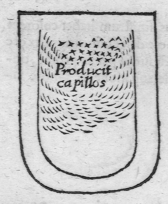 An illustration from Specimen medicinae sinicae sive, Opuscula medica ad mentem sinensium, continens I. De pulsibus libros quatuor è sinico translatos. II. Tractatus de pulsibus ab erudito europaeo collectos. III. Fragmentum operis medici ibidem ab erudito europaeo conscripti. IV. Excerpta literis eruditi europaei in China. V. Schemata ad meliorem praecedentium intelligentiam. VI. De indiciis morborum ex linguae coloribus & affectionibus cum figuris aeneis & ligneis. Edidit Andreas Cleyer, 1682, leaf 255