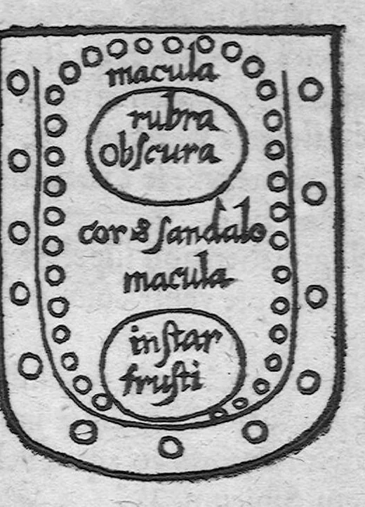 An illustration from Specimen medicinae sinicae sive, Opuscula medica ad mentem sinensium, continens I. De pulsibus libros quatuor è sinico translatos. II. Tractatus de pulsibus ab erudito europaeo collectos. III. Fragmentum operis medici ibidem ab erudito europaeo conscripti. IV. Excerpta literis eruditi europaei in China. V. Schemata ad meliorem praecedentium intelligentiam. VI. De indiciis morborum ex linguae coloribus & affectionibus cum figuris aeneis & ligneis. Edidit Andreas Cleyer, 1682, leaf 256