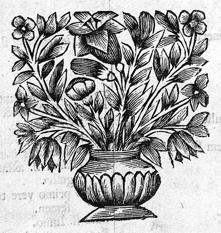 An illustration from Casus medicinales annorum 1659-60 & 61, 1695, leaf 93
