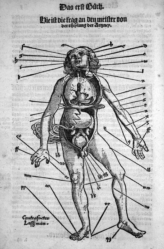 An illustration from Spiegel der Artzney, 1529, leaf 18