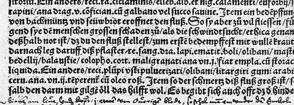 An illustration from Spiegel der Artzney, 1529, leaf 238