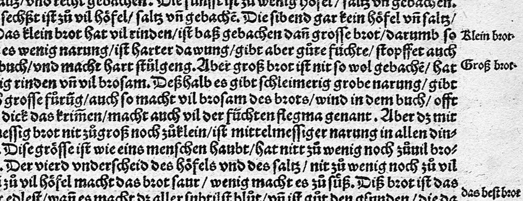 An illustration from Spiegel der Artzney, 1529, leaf 43