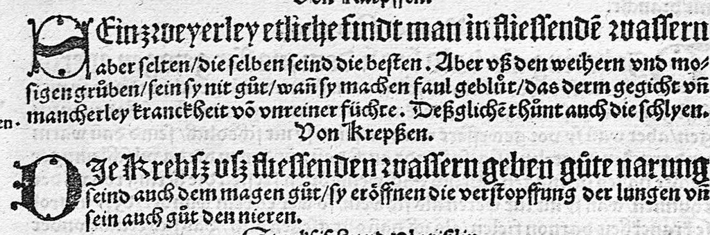 An illustration from Spiegel der Artzney, 1529, leaf 56