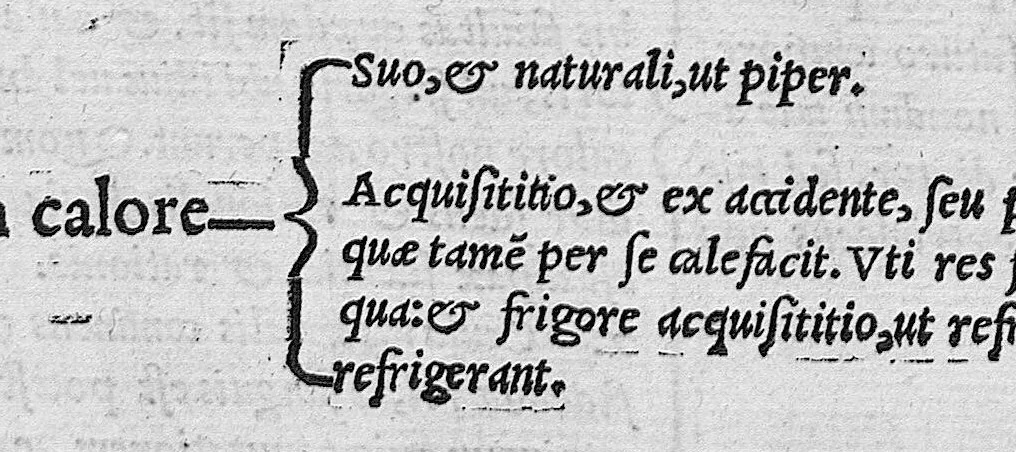 An illustration from Claudij Galeni Pergameni de temperamentis libri III. De inaequali intemperie liber I. Thoma Linacro Anglo Interprete, 1545, leaf 6