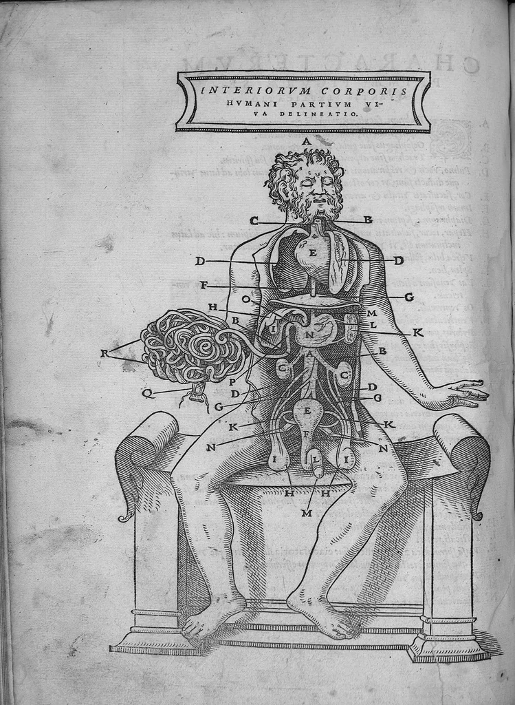 An illustration from Lodoici vassaei catalaunensis, doctoris, medici, in anatomen corporis humani, tabulae quatuor, ab authore nuper auctae et recongnitae, 1553, leaf 3