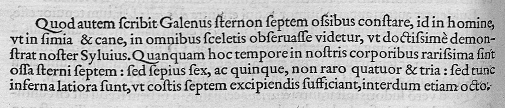 An illustration from Lodoici vassaei catalaunensis, doctoris, medici, in anatomen corporis humani, tabulae quatuor, ab authore nuper auctae et recongnitae, 1553, leaf 33