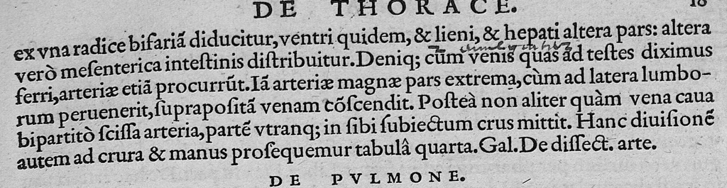 An illustration from Lodoici vassaei catalaunensis, doctoris, medici, in anatomen corporis humani, tabulae quatuor, ab authore nuper auctae et recongnitae, 1553, leaf 46