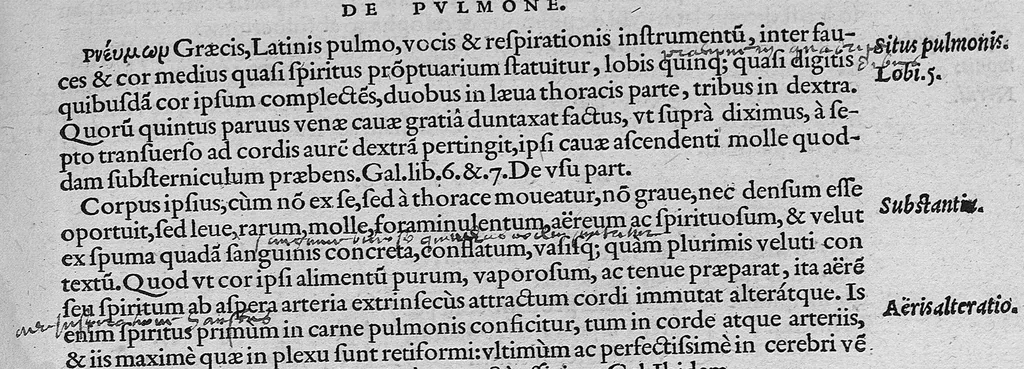 An illustration from Lodoici vassaei catalaunensis, doctoris, medici, in anatomen corporis humani, tabulae quatuor, ab authore nuper auctae et recongnitae, 1553, leaf 46