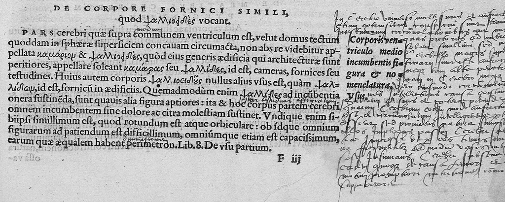 An illustration from Lodoici vassaei catalaunensis, doctoris, medici, in anatomen corporis humani, tabulae quatuor, ab authore nuper auctae et recongnitae, 1553, leaf 64