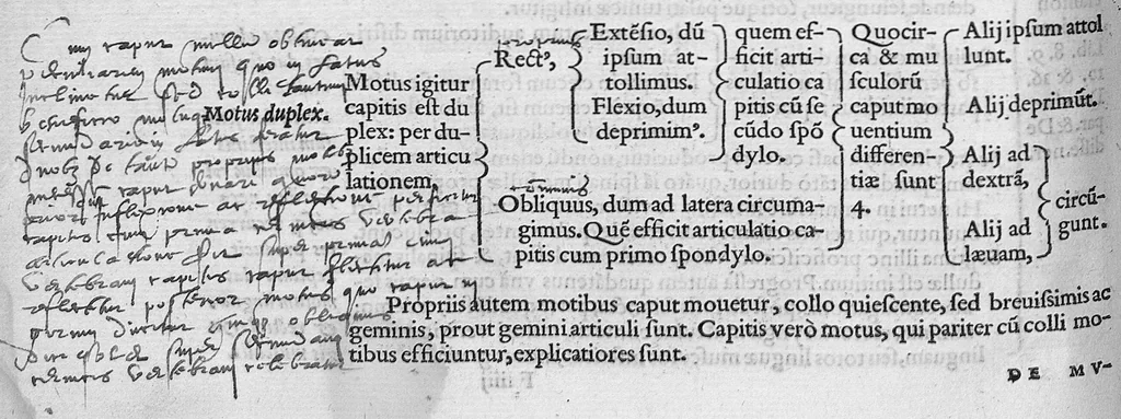 An illustration from Lodoici vassaei catalaunensis, doctoris, medici, in anatomen corporis humani, tabulae quatuor, ab authore nuper auctae et recongnitae, 1553, leaf 69