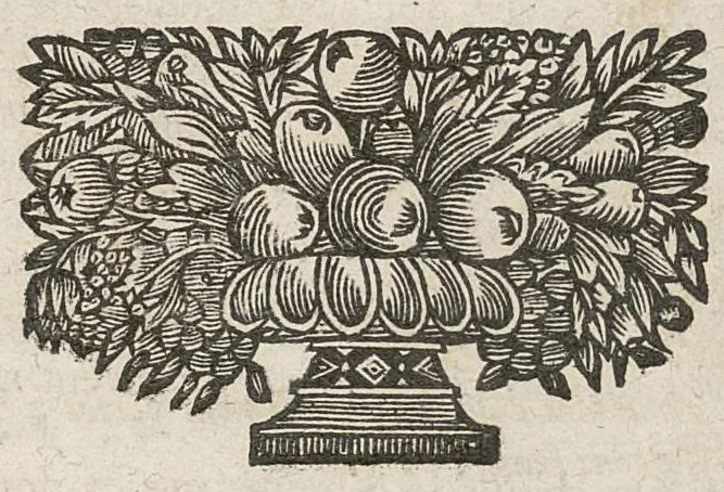 An illustration from Metthode de consulter et de prescrire les formules de medecine...oeuvre posthume, 1698, leaf 133