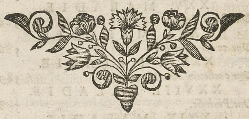An illustration from Metthode de consulter et de prescrire les formules de medecine...oeuvre posthume, 1698, leaf 15