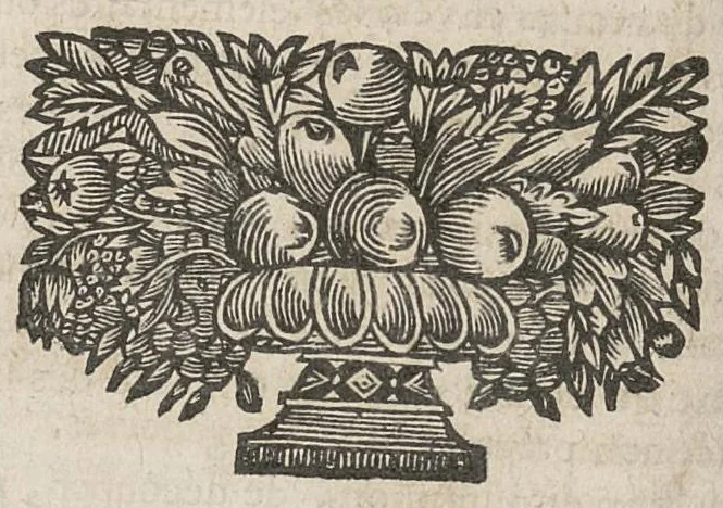 An illustration from Metthode de consulter et de prescrire les formules de medecine...oeuvre posthume, 1698, leaf 241