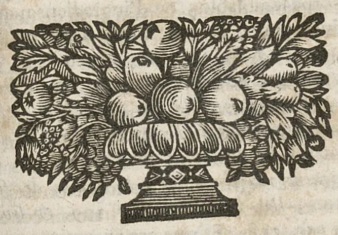 An illustration from Metthode de consulter et de prescrire les formules de medecine...oeuvre posthume, 1698, leaf 444