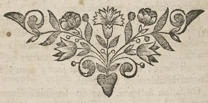 An illustration from Metthode de consulter et de prescrire les formules de medecine...oeuvre posthume, 1698, leaf 673