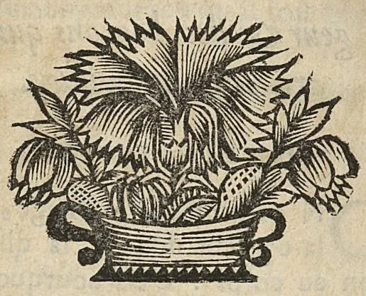An illustration from Panacée ou discours sur les effets singuliers d'un remede experimenté & commode pour la guerison de la pluspart des longues maladies ; même de celles qui semblent incurables..., 1679, leaf 271