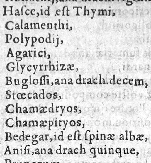 An illustration from La pharmacopee de M. Laur. Joubert, Professeur en Medecine, Docteur Royal, et Chancelier en l’Université de Montpellier. Ensemble les Annotations de Jean Paul Zangmaisterus, Conseiller de ladicte Université, mises en marge,, 1592, leaf 155