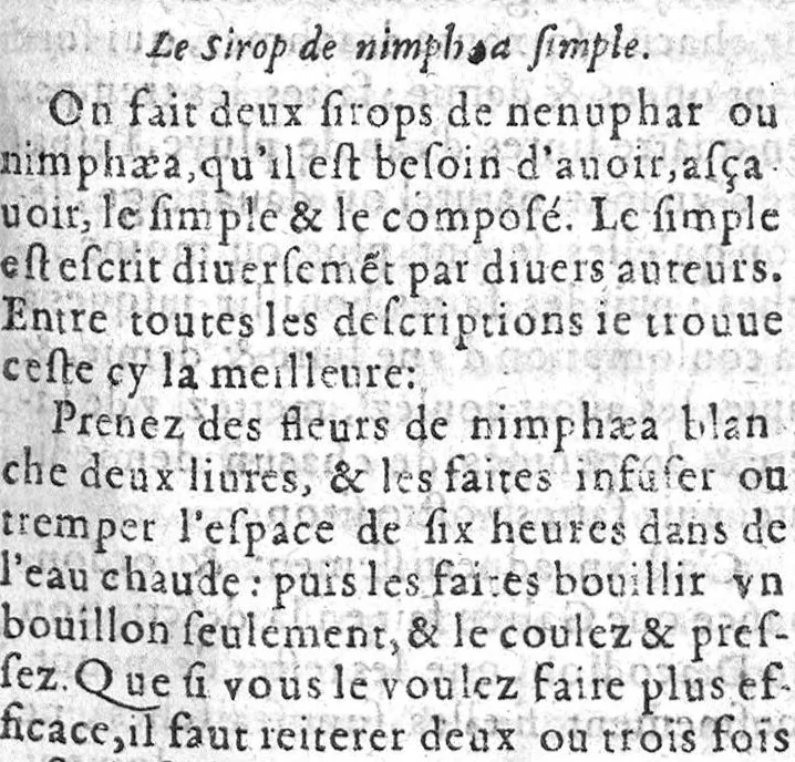 An illustration from La pharmacopee de M. Laur. Joubert, Professeur en Medecine, Docteur Royal, et Chancelier en l’Université de Montpellier. Ensemble les Annotations de Jean Paul Zangmaisterus, Conseiller de ladicte Université, mises en marge,, 1592, leaf 70
