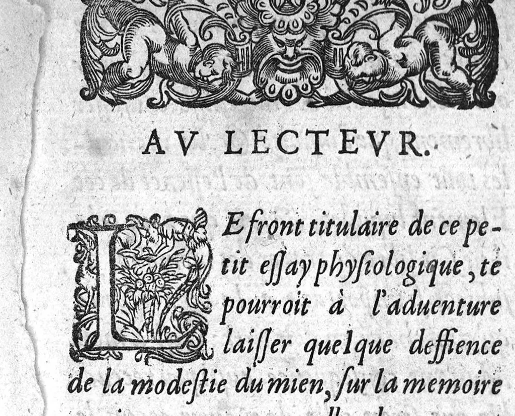 An illustration from Les admirables vertus des eaux naturelles de Pougues, & autres renommées de France. En faveur des malades qui ont recours en leurs salutaires emplois, 1618, leaf 2