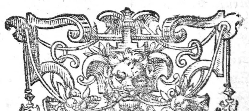 An illustration from Discours des eaux chaudes et bains de Plombieres divisez en deux traictez..., 1615, leaf 346