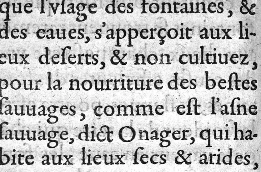 An illustration from Hydrologie ou discours de l'Eave, 1614, leaf 125