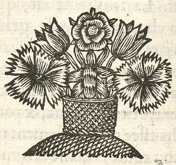 An illustration from De la nature des bains de Bourbon et des abus qui se commettent à présent en la boisson de ces eaux..., 1650, leaf 113