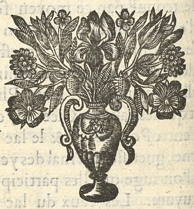 An illustration from De la nature des bains de Bourbon et des abus qui se commettent à présent en la boisson de ces eaux..., 1650, leaf 151