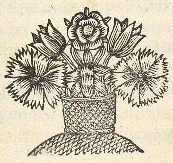 An illustration from De la nature des bains de Bourbon et des abus qui se commettent à présent en la boisson de ces eaux..., 1650, leaf 78