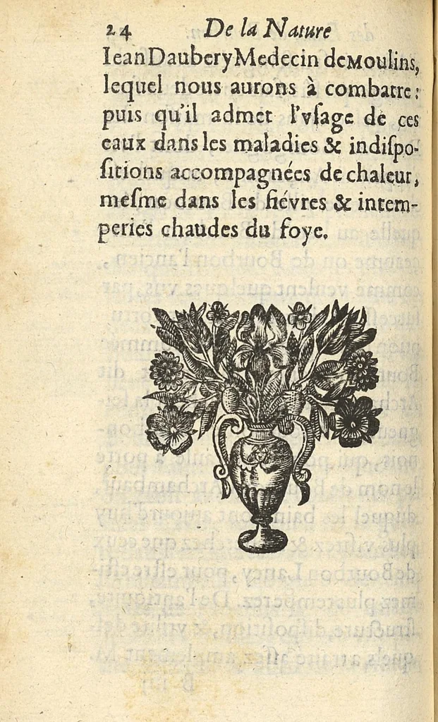An illustration from De la nature des bains de Bourbon et des abus qui se commettent à présent en la boisson de ces eaux..., 1650, leaf 95