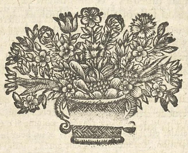 An illustration from La pharmacopée raisonnée de Schroeder commentée par Michel Ettmuller, 1698, leaf 817