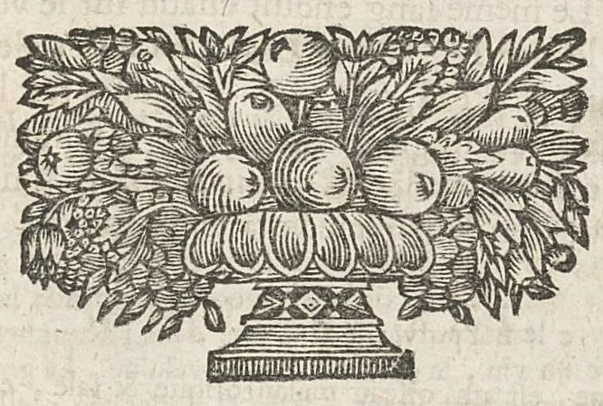 An illustration from La pharmacopée raisonnée de Schroeder commentée par Michel Ettmuller, 1698, leaf 188