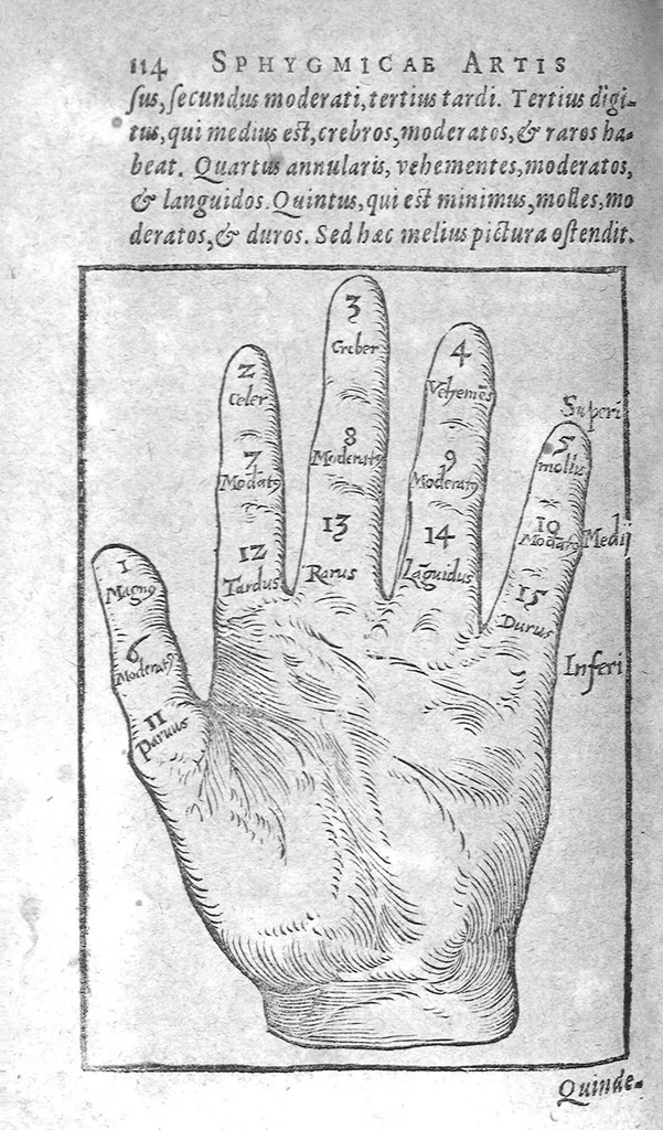 An illustration from Ars Sphygmica seu pulsum doctrina, 1602, leaf 160