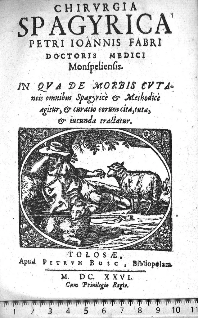 An illustration from Chirurgica spagyrica, 1626, leaf 0