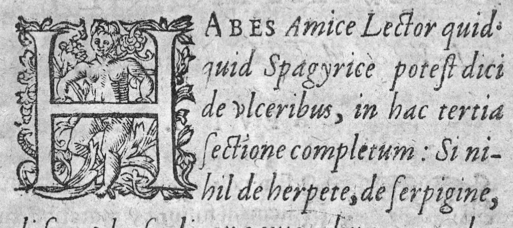 An illustration from Chirurgica spagyrica, 1626, leaf 162
