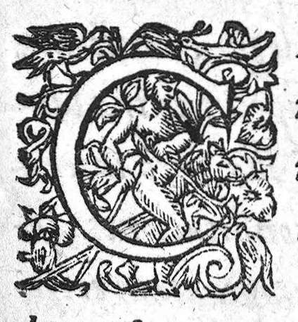 An illustration from Chirurgica spagyrica, 1626, leaf 2