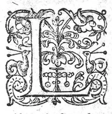 An illustration from Brief traité de la pharmacie pronvinciale et familiere : suivant laquelle la Medecine peut estre faicte des remedes qui se treuvent en chasque province, sans qu’on soit contraint les aller mandier ailleurs. Dressé et faict vulgaire par M. Antoine Constantin, D. en Medecine à Aix en Provence, 1597, leaf 16