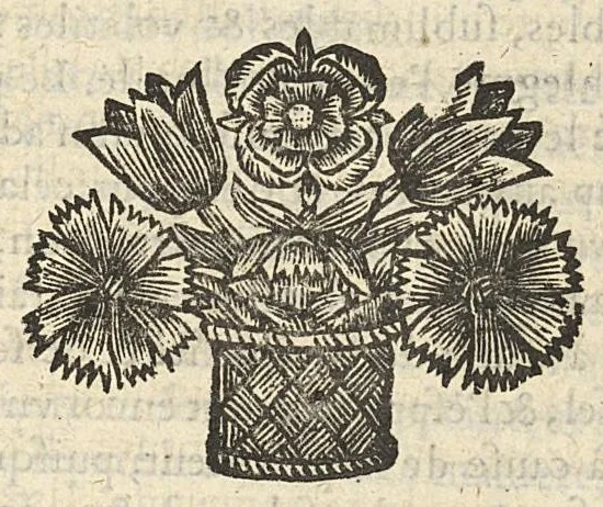 An illustration from Traicté de la chymie..., 1660, leaf 206