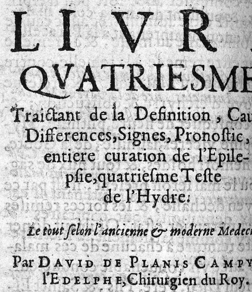 An illustration from L'Hydre morbifique exterminée par l'Hercule chimique, 1628, leaf 301