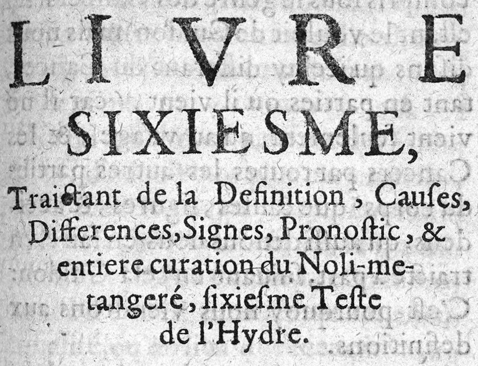 An illustration from L'Hydre morbifique exterminée par l'Hercule chimique, 1628, leaf 438