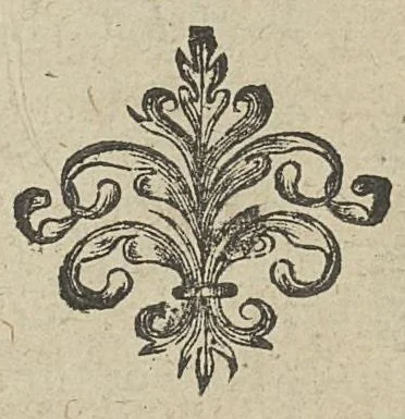 An illustration from Bouquet composé des plus belles fleurs chimiques Ou, Ajencement des preparations, & experiences és plus rares secrets, & medicamens pharmaco chimiques; prins des mineraux, animaux, & vegetaux. Le tout par une methode tres-facile, & non commune aux chimiques ordinaires ..., 1629, leaf 756