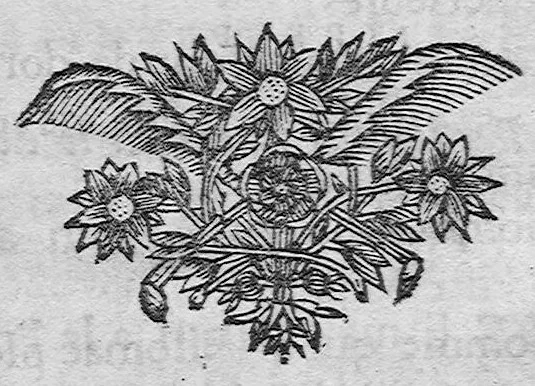 An illustration from Les secrets de la médecine des Chinois consistant en la parfaite connaissance du pouls, 1671, leaf 121