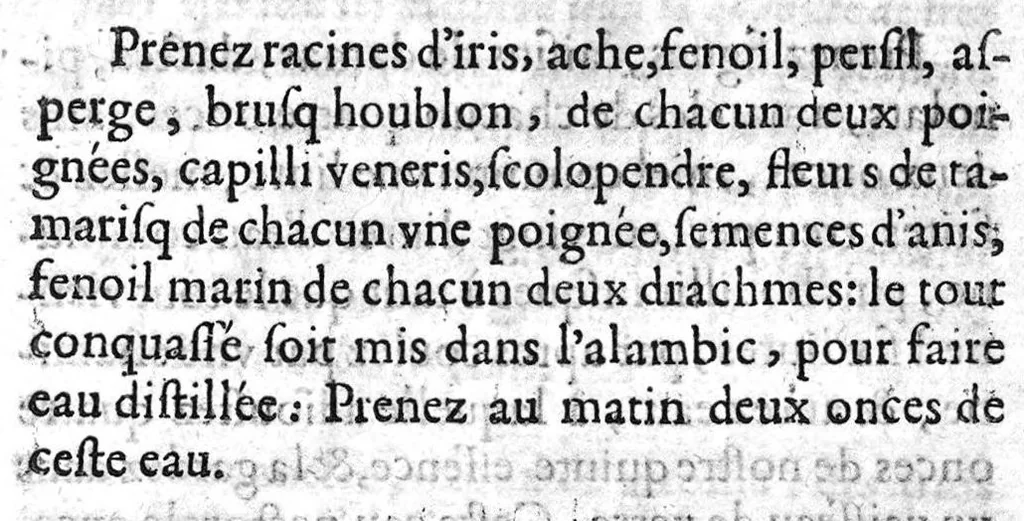 An illustration from Quatre livres des secrets de medecine et de la philosophie chimique, faicts françois par M. Jean Liebaut, 1579, leaf 114